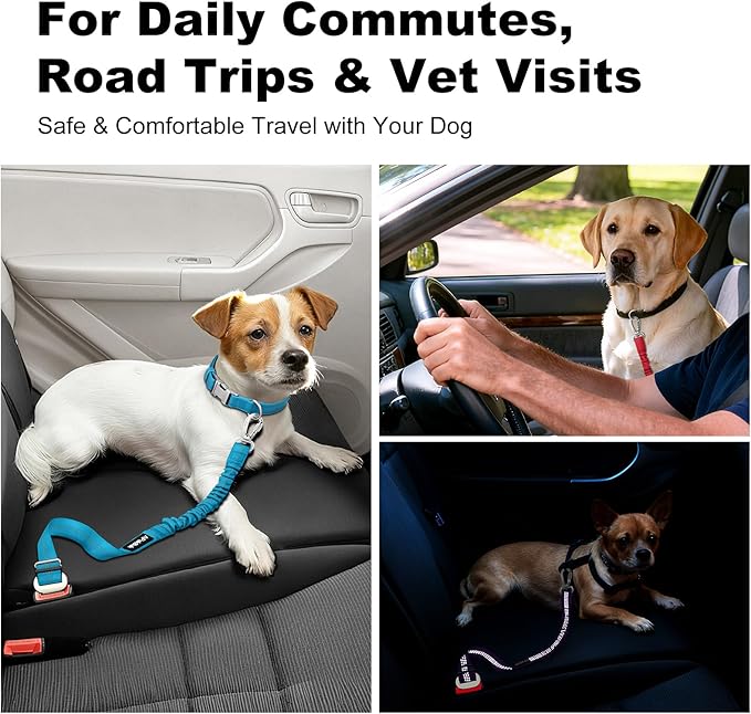 Dog Seat Belt for Car, Adjustable Dog Car Harness Seatbelt for Small Medium Large Dogs, Heavy Duty Travel Safety Restraint with Locking Aluminum Hook & Reflective Nylon Strap, Orange