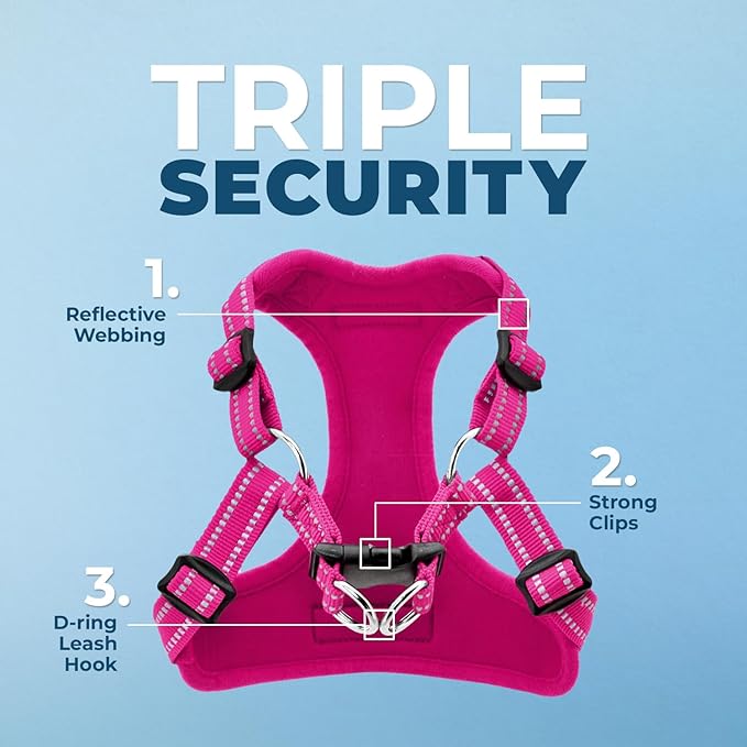 Best Pet Supplies Voyager Mesh Dog Breathable Harness Reflective Stitching, All Weather Adjustable for Walking Training, or Running - Heavy Duty & Durable, Harness Leash Set (Fuchsia), L