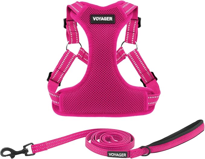 Best Pet Supplies Voyager Mesh Dog Breathable Harness Reflective Stitching, All Weather Adjustable for Walking Training, or Running - Heavy Duty & Durable, Harness Leash Set (Fuchsia), L
