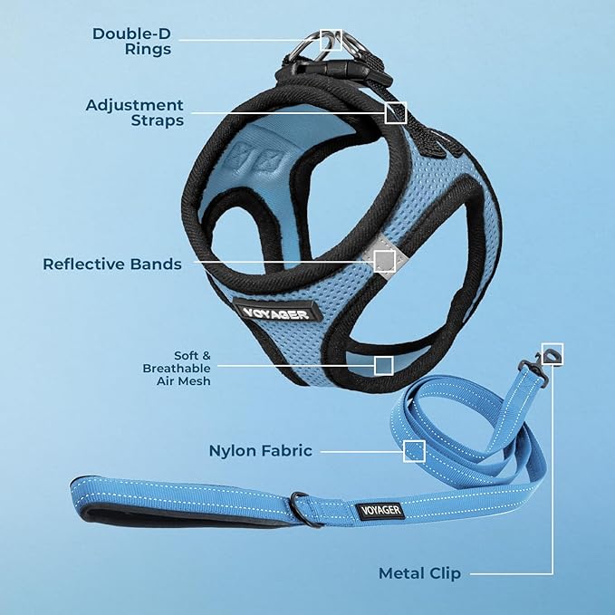 Voyager Step-in Air All Weather Mesh Harness and Reflective Dog 5 ft Leash Combo with Neoprene Handle, for Small, Medium and Large Breed Puppies by Best Pet Supplies - Baby Blue/Black Trim, X-Small