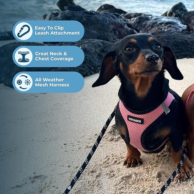 Best Pet Supplies Voyager Step-in Air Harness - All Weather Mesh, Reflective, No Pull Harness for Dogs, Cats - Secure with Hook & Loop Fastener, Buckle, Double D-Rings - Pink/Black Trim, XXS