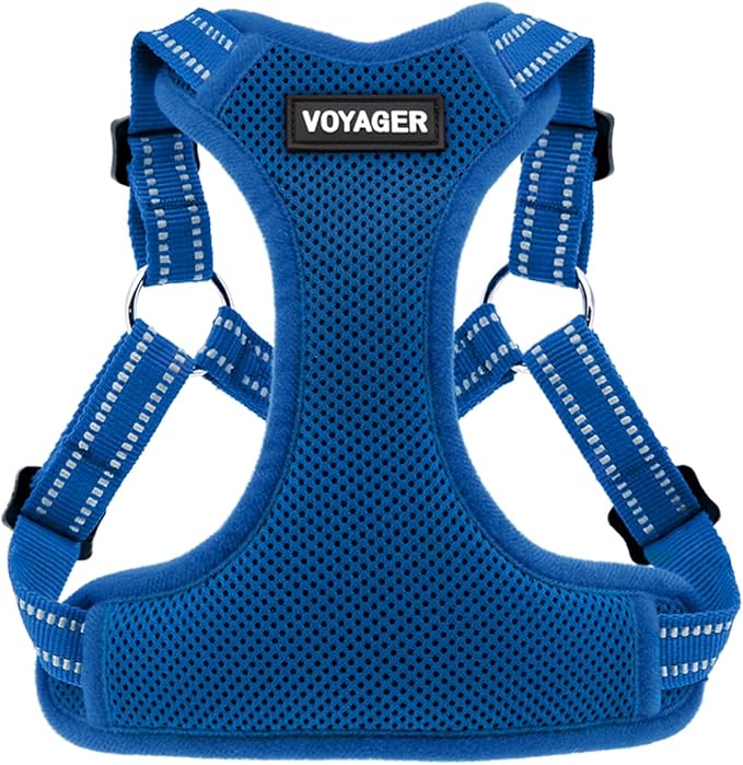Best Pet Supplies Voyager Mesh Dog Breathable Harness Reflective Stitching, All Weather Adjustable for Walking Training, or Running - Heavy Duty & Durable, Harness (Royal Blue), L