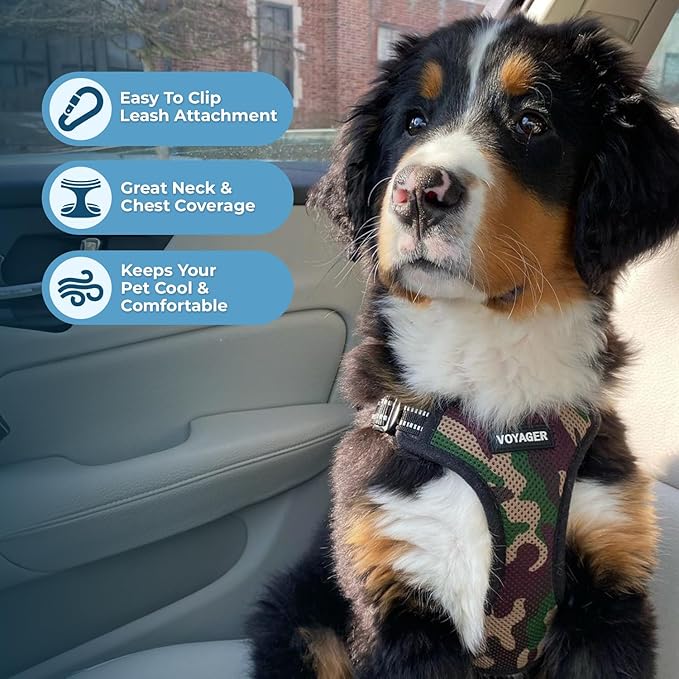 Best Pet Supplies Voyager Mesh Dog Breathable Harness Reflective Stitching, All Weather Adjustable for Walking Training, or Running - Heavy Duty & Durable, Harness Leash Set (Army Base), XS