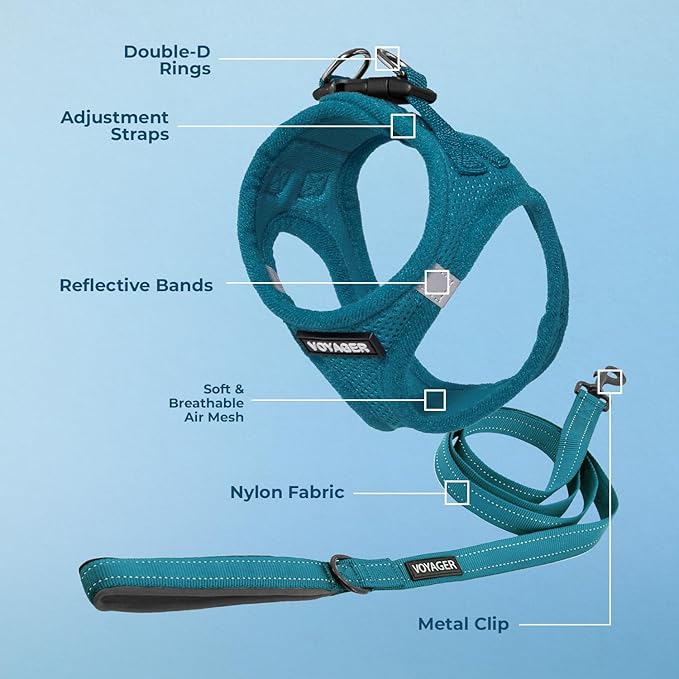 Voyager Step-in Air All Weather Mesh Harness and Reflective Dog 5 ft Leash Combo with Neoprene Handle, for Small, Medium and Large Breed Puppies by Best Pet Supplies - Set (Turquoise), XS