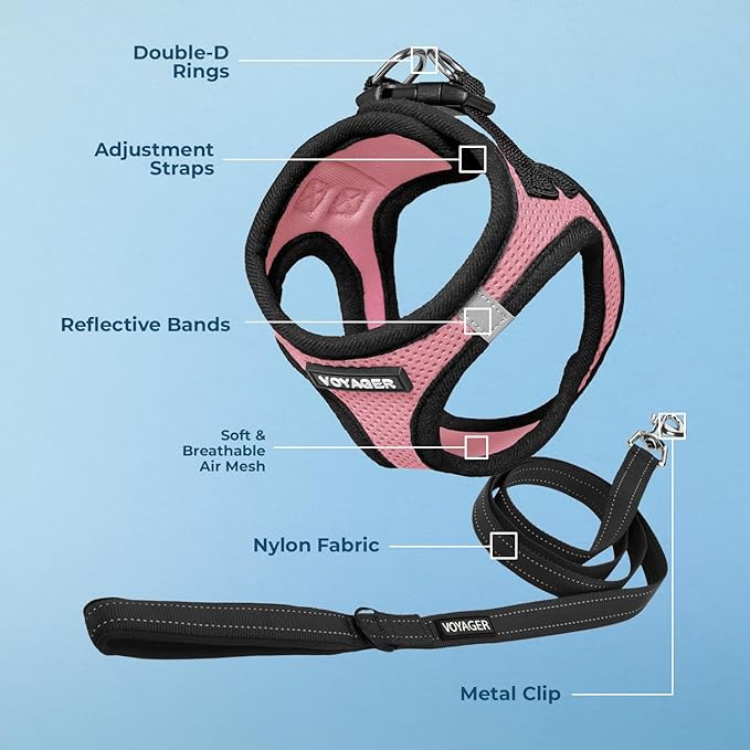 Voyager Step-in Air All Weather Mesh Harness and Reflective Dog 5 ft Leash Combo with Neoprene Handle, for Small, Medium and Large Breed Puppies by Best Pet Supplies - Pink Base, L