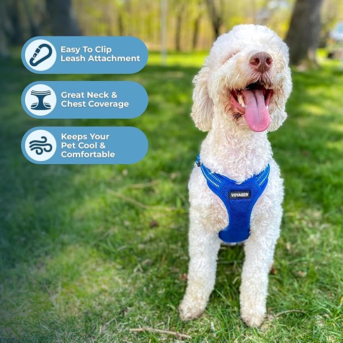 Best Pet Supplies Voyager Mesh Dog Breathable Harness Reflective Stitching, All Weather Adjustable for Walking Training, or Running - Heavy Duty & Durable, Harness (Royal Blue), L