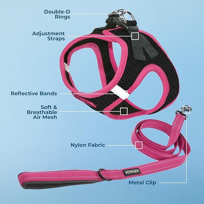 Voyager Step-in Air All Weather Mesh Harness and Reflective Dog 5 ft Leash Combo with Neoprene Handle, for Small, Medium and Large Breed Puppies by Best Pet Supplies - Black/Pink Trim, X-Large