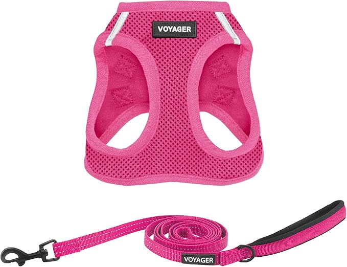 Voyager Step-in Air Cat Harness - All Weather Mesh Step in Vest Harness for Small and Medium Cats by Best Pet Supplies - Set (Fuchsia), XXXS