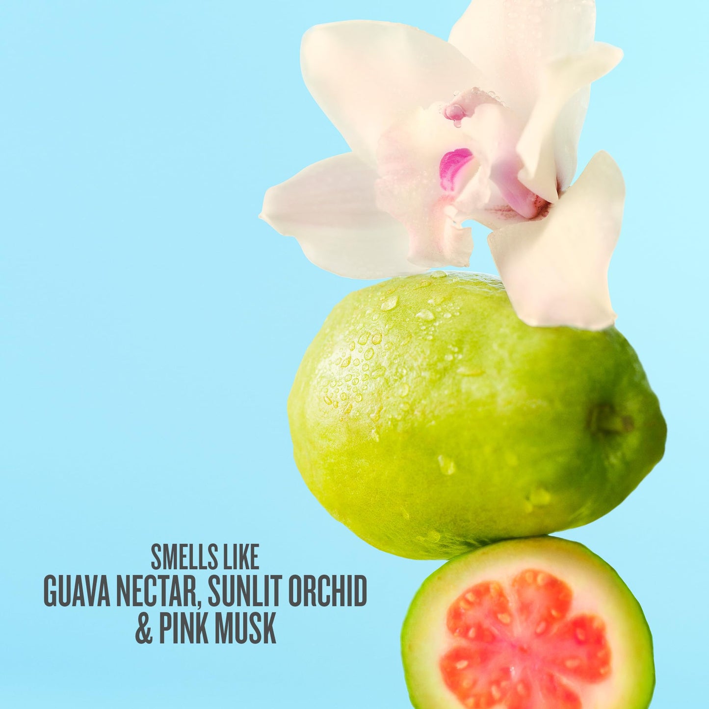 Sol de Janeiro Cheirosa 48 Hair & Body Fragrance Mist 90mL/3.0 fl oz.