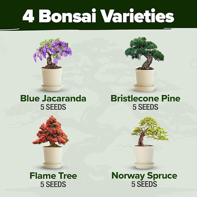 Bonsai Tree Kit Gifts for Men & Women - Grow 4 Bonsai Trees - Unique Gardening Crafts for Adults, DIY Hobbies for Plant Lovers & Gardeners - Unusual Christmas Gift Ideas for Mom & Dad