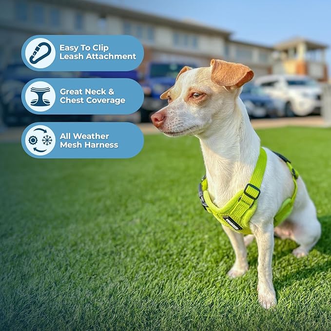 Voyager Step-in Air All Weather Mesh Harness and Reflective Dog 5 ft Leash Combo with Neoprene Handle, for Small, Medium and Large Breed Puppies by Best Pet Supplies - Set (Lime Green), L