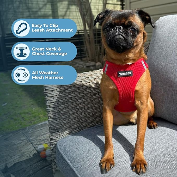Voyager Step-in Air All Weather Mesh Harness and Reflective Dog 5 ft Leash Combo with Neoprene Handle, for Small, Medium and Large Breed Puppies by Best Pet Supplies - Harness Leash Set (Red), XS
