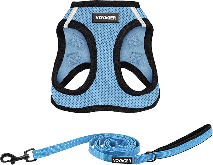 Voyager Step-in Air All Weather Mesh Harness and Reflective Dog 5 ft Leash Combo with Neoprene Handle, for Small, Medium and Large Breed Puppies by Best Pet Supplies - Baby Blue/Black Trim, Small
