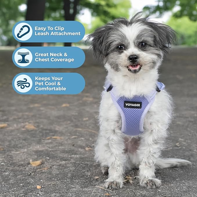 Best Pet Supplies Voyager Mesh Dog Breathable Harness Reflective Stitching, All Weather Adjustable for Walking Training, or Running - Heavy Duty & Durable, Harness (Lavender), XL