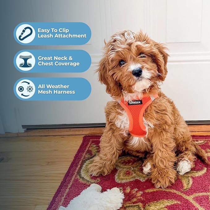 Voyager Step-in Air All Weather Mesh Harness and Reflective Dog 5 ft Leash Combo with Neoprene Handle, for Small, Medium and Large Breed Puppies by Best Pet Supplies - Harness Leash Set (Orange), XS