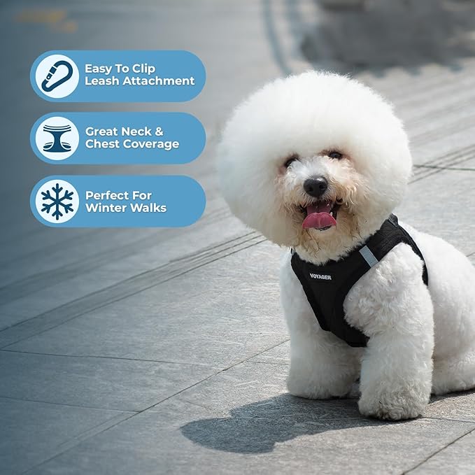 Best Pet Supplies - All Weather Mesh/Plush, Reflective, No Pull Harness for Small, Medium Dogs, Cats - Secure with Hook & Loop Fastener, Buckle, Double D-Rings - Black Plush, M