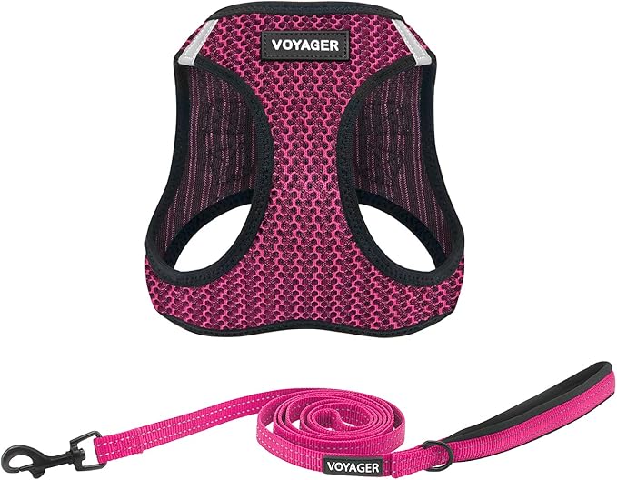 Voyager Step-in Air All Weather Mesh Harness and Reflective Dog 5 ft Leash Combo with Neoprene Handle, for Small, Medium and Large Breed Puppies by Best Pet Supplies - Fuchsia (2-Tone), S