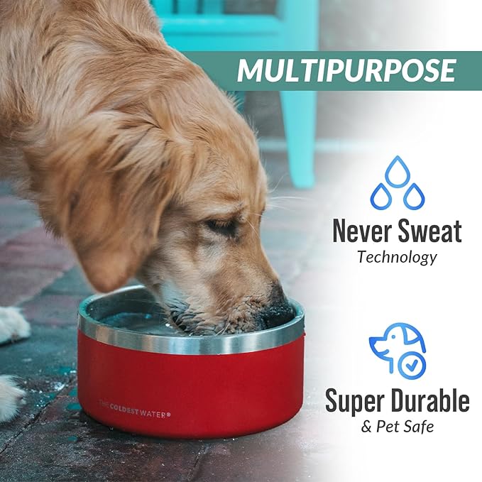 Coldest Dog Bowl - Anti Rust Metal, Non Slip, 3 Layers Insulated Stainless Steel Dog Bowls - Spill Proof & Heavy Duty - Water Bowl for Dogs, Cats & Pets, Dish Washer Safe (64 oz, Solar Yellow)