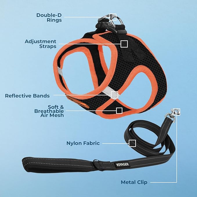 Voyager Step-in Air All Weather Mesh Harness and Reflective Dog 5 ft Leash Combo with Neoprene Handle, for Small, Medium and Large Breed Puppies by Best Pet Supplies - Black/Orange Trim, Large