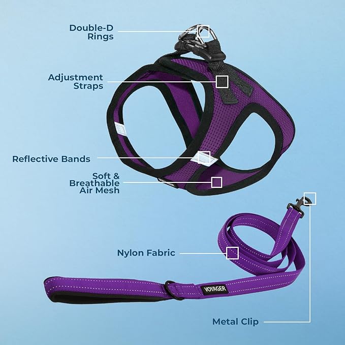 Voyager Step-in Air All Weather Mesh Harness and Reflective Dog 5 ft Leash Combo with Neoprene Handle, for Small, Medium and Large Breed Puppies by Best Pet Supplies - Purple/Black Trim, Small