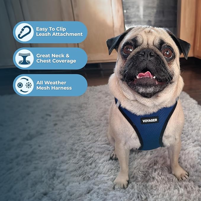 Voyager Step-in Air All Weather Mesh Harness and Reflective Dog 5 ft Leash Combo with Neoprene Handle, for Small, Medium and Large Breed Puppies by Best Pet Supplies - Blue/Black Trim, Small