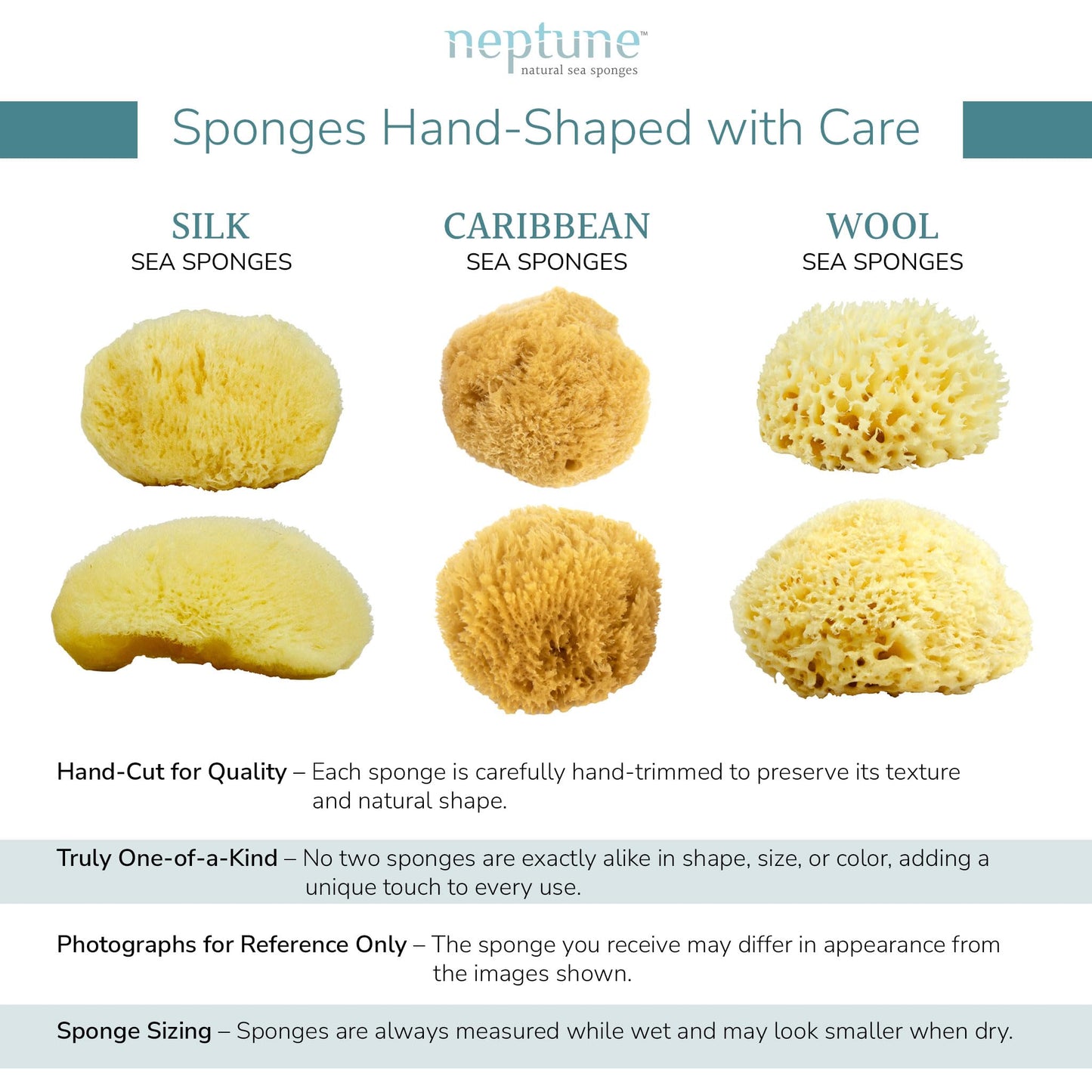 Neptune Caribbean Sea Sponge for Face & Body, Large Approx. 6-7 Inches, Ultra-Soft Bath Sponge, Eco-Friendly & Biodegradable