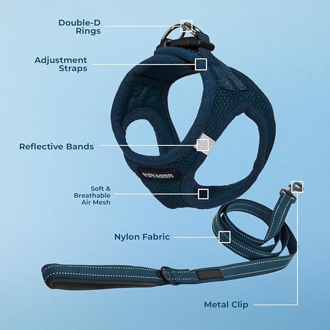 Voyager Step-in Air All Weather Mesh Harness and Reflective Dog 5 ft Leash Combo with Neoprene Handle, for Small, Medium and Large Breed Puppies by Best Pet Supplies - Harness Leash Set (Blue), L