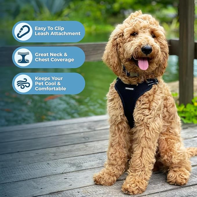 Best Pet Supplies Voyager Mesh Dog Breathable Harness Reflective Stitching, All Weather Adjustable for Walking Training, or Running - Heavy Duty & Durable, Harness Leash Set (Black), M