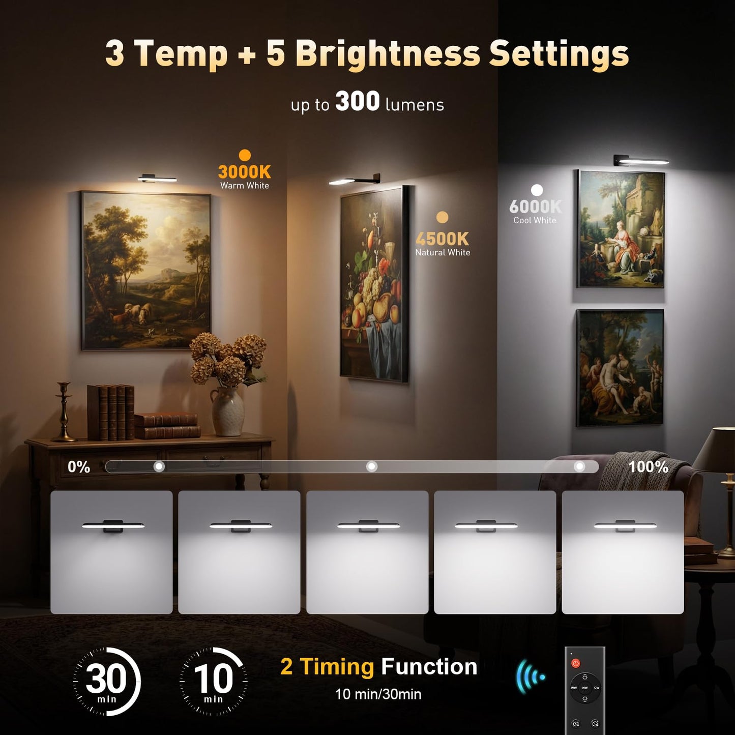 NARUNDREN 2 Pack Picture Lights for Wall, Rechargeable LED Picture Light Battery Operated with Remote, Dimmable Poster Light for Paintings, Portraits, Art Frames, Display Lighting for Wall Decor,Black