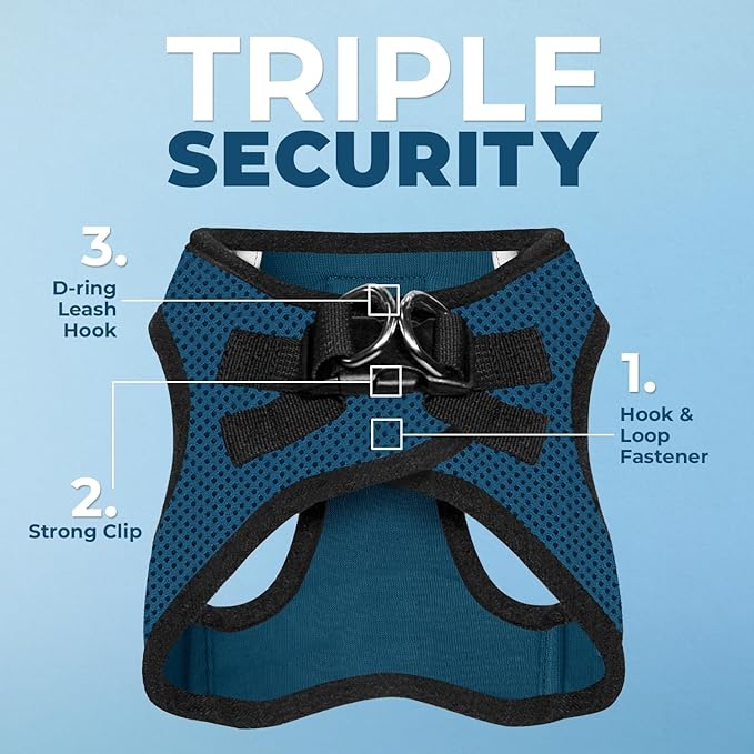 Voyager Step-in Air All Weather Mesh Harness and Reflective Dog 5 ft Leash Combo with Neoprene Handle, for Small, Medium and Large Breed Puppies by Best Pet Supplies - Blue/Black Trim, X-Large