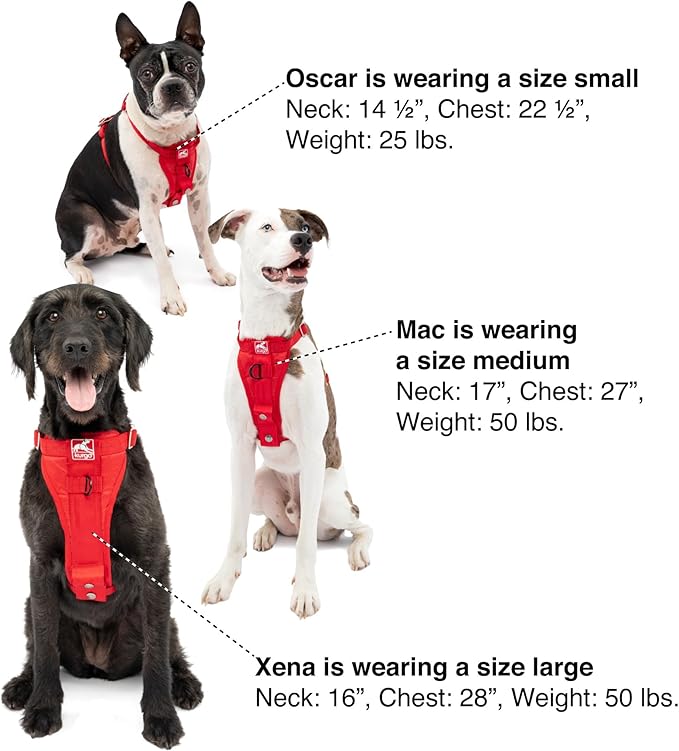 Kurgo Enhanced Strength Tru-Fit Dog Car Harness - Pet Travel Safety Harness - Crash Test Certified Fit - Five Point Adjustment - Secure Buckle - Padded Chest - Deep Violet - Medium