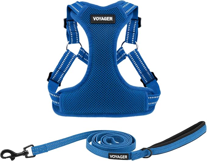 Best Pet Supplies Voyager Mesh Dog Breathable Harness Reflective Stitching, All Weather Adjustable for Walking Training, or Running - Heavy Duty & Durable, Harness Leash Set (Royal Blue), XL