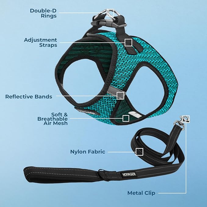 Voyager Step-in Air All Weather Mesh Harness and Reflective Dog 5 ft Leash Combo with Neoprene Handle, for Small, Medium and Large Breed Puppies by Best Pet Supplies - Turquoise (2-Tone),S