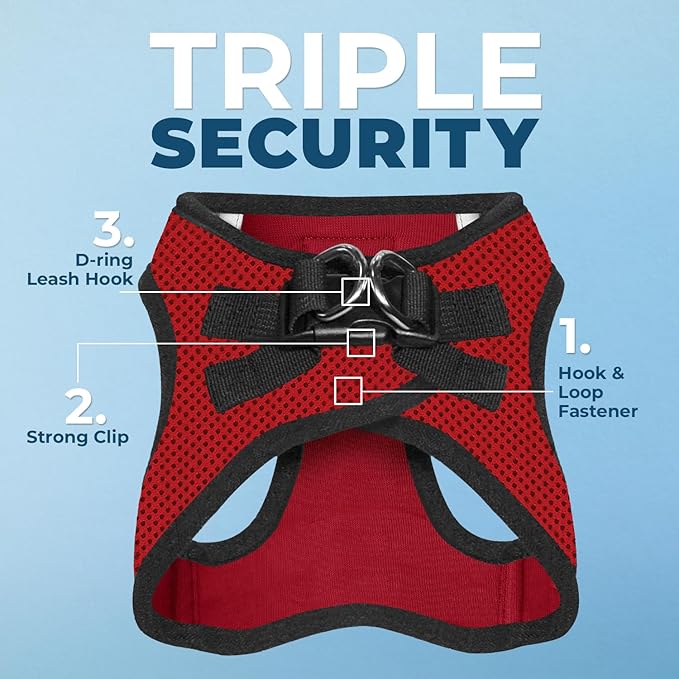 Voyager Step-in Air All Weather Mesh Harness and Reflective Dog 5 ft Leash Combo with Neoprene Handle, for Small, Medium and Large Breed Puppies by Best Pet Supplies - Red/Black Trim, Medium