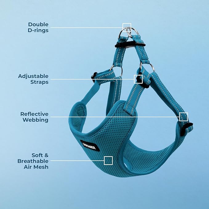 Best Pet Supplies Voyager Mesh Dog Breathable Harness Reflective Stitching, All Weather Adjustable for Walking Training, or Running - Heavy Duty & Durable, Harness (Turquoise), S