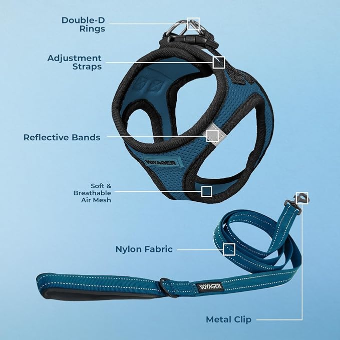 Voyager Step-in Air All Weather Mesh Harness and Reflective Dog 5 ft Leash Combo with Neoprene Handle, for Small, Medium and Large Breed Puppies by Best Pet Supplies - Blue/Black Trim, Small
