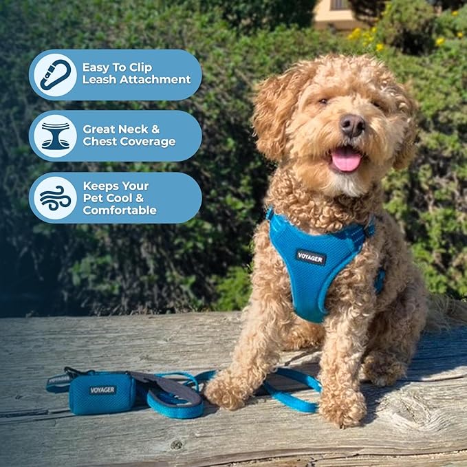 Best Pet Supplies Voyager Mesh Dog Breathable Harness Reflective Stitching, All Weather Adjustable for Walking Training, or Running - Heavy Duty & Durable, Harness Leash Set (Turquoise), XL