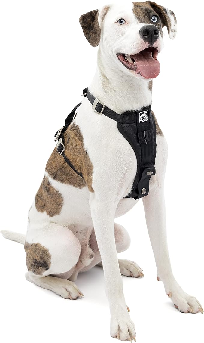 Kurgo Enhanced Strength Tru-Fit Dog Car Harness - Pet Travel Safety Harness - Crash Test Certified Fit - Five Point Adjustment - Secure Buckle - Padded Chest - Black - Medium