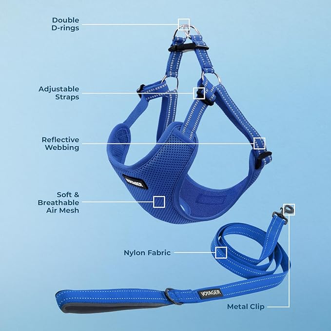 Best Pet Supplies Voyager Mesh Dog Breathable Harness Reflective Stitching, All Weather Adjustable for Walking Training, or Running - Heavy Duty & Durable, Harness Leash Set (Royal Blue), L