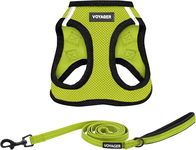 Voyager Step-in Air All Weather Mesh Harness and Reflective Dog 5 ft Leash Combo with Neoprene Handle, for Small, Medium and Large Breed Puppies by Best Pet Supplies - Lime/Black Trim, Medium
