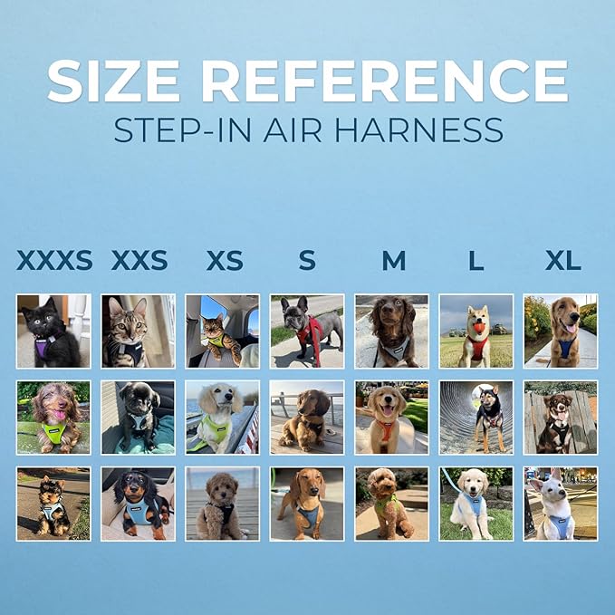 Voyager Step-in Air All Weather Mesh Harness and Reflective Dog 5 ft Leash Combo with Neoprene Handle, for Small, Medium and Large Breed Puppies by Best Pet Supplies - Harness Leash Set (Red), XS