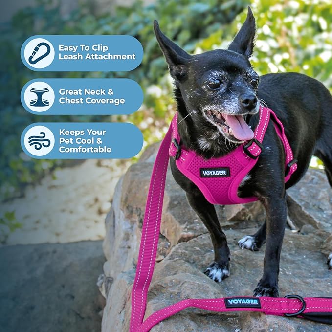 Best Pet Supplies Voyager Mesh Dog Breathable Harness Reflective Stitching, All Weather Adjustable for Walking Training, or Running - Heavy Duty & Durable, Harness Leash Set (Fuchsia), L