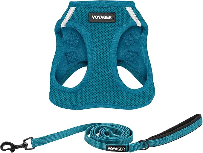 Voyager Step-in Air Cat Harness - All Weather Mesh Step in Vest Harness for Small and Medium Cats by Best Pet Supplies - Set (Turquoise), XXS