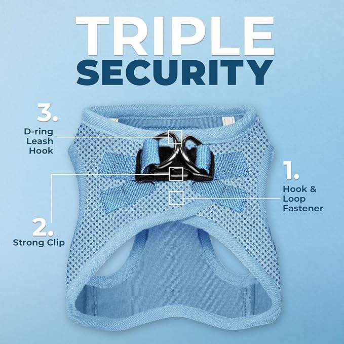 Voyager Step-in Air All Weather Mesh Harness and Reflective Dog 5 ft Leash Combo with Neoprene Handle, for Small, Medium and Large Breed Puppies by Best Pet Supplies - Set (Baby Blue), XS