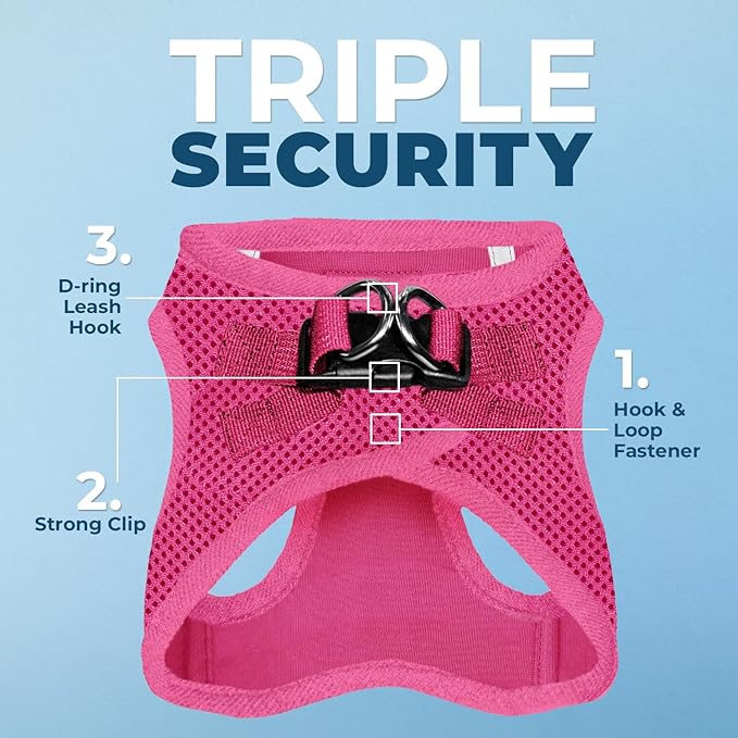 Voyager Step-in Air All Weather Mesh Harness and Reflective Dog 5 ft Leash Combo with Neoprene Handle, for Small, Medium and Large Breed Puppies by Best Pet Supplies - Set (Fuchsia), S