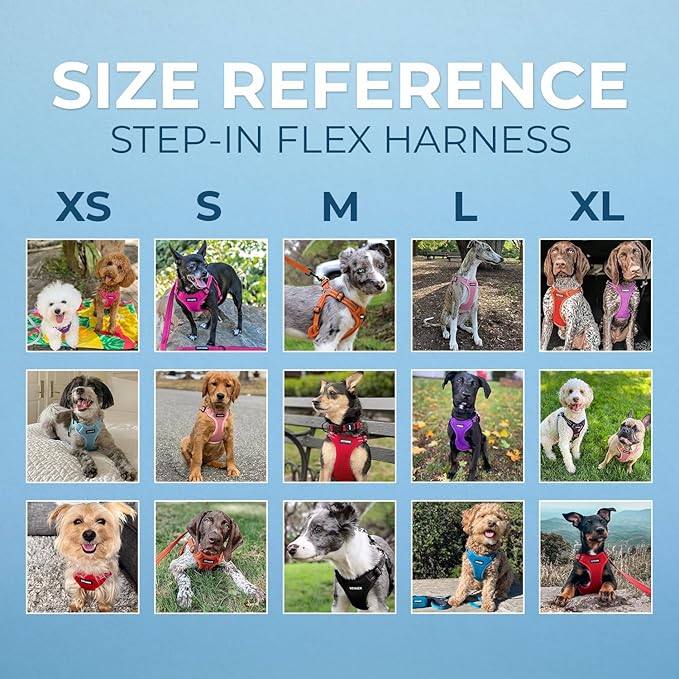 Best Pet Supplies Voyager Mesh Dog Breathable Harness Reflective Stitching, All Weather Adjustable for Walking Training, or Running - Heavy Duty & Durable, Harness Leash Set (Baby Blue), M