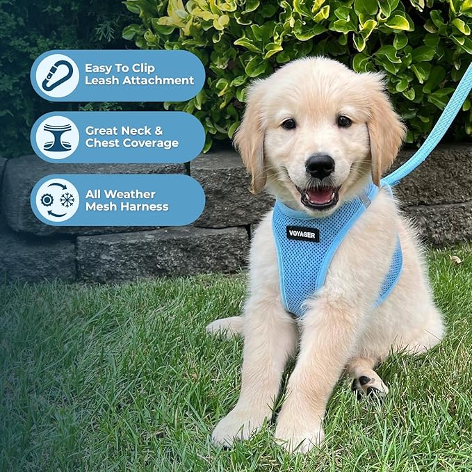 Voyager Step-in Air Cat Harness - All Weather Mesh Step in Vest Harness for Small and Medium Cats by Best Pet Supplies - Set (Baby Blue), XXS