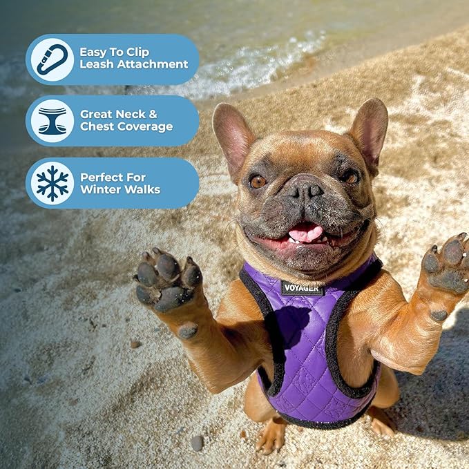 Best Pet Supplies - All Weather Mesh/Plush, Reflective, No Pull Harness for Small, Medium Dogs, Cats - Secure with Hook & Loop Fastener, Buckle, Double D-Rings - Purple Faux Leather, M
