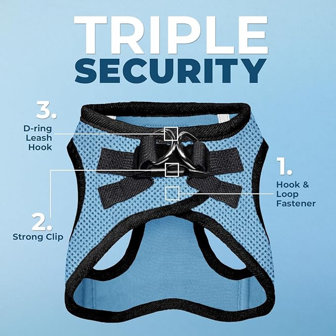 Best Pet Supplies Voyager Step-in Air Harness - All Weather Mesh, Reflective, No Pull Harness for Dogs, Cats - Secure with Hook & Loop Fastener, Buckle, Double D-Rings - Baby Blue/Black Trim, XXXS