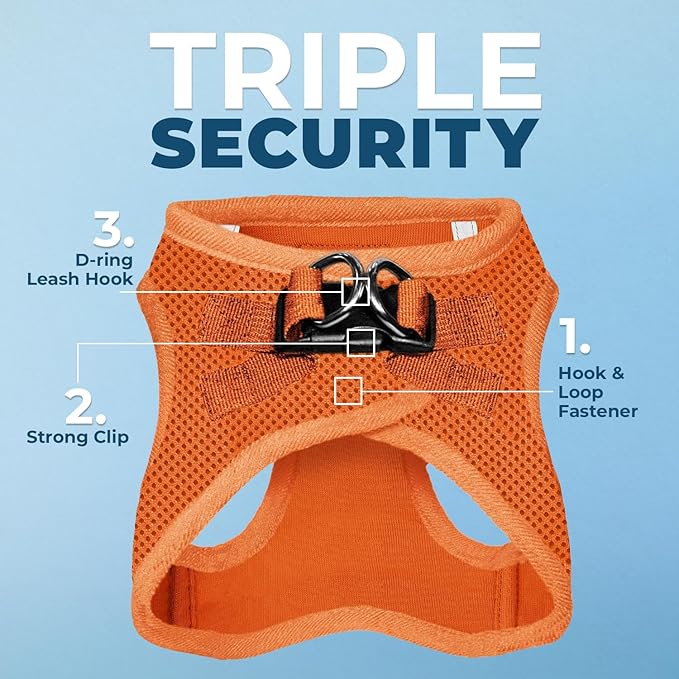 Voyager Step-in Air All Weather Mesh Harness and Reflective Dog 5 ft Leash Combo with Neoprene Handle, for Small, Medium and Large Breed Puppies by Best Pet Supplies - Harness Leash Set (Orange), XS